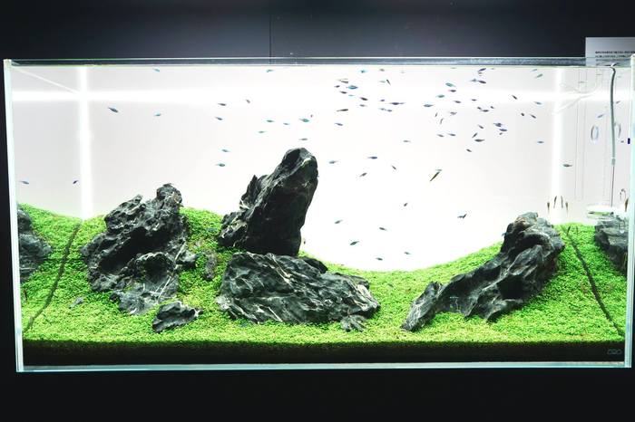 В стиле ивагуми