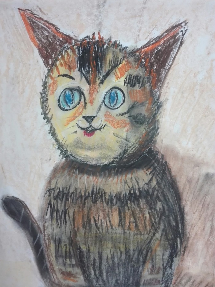 Oh this look - Catomafia, cat, Children, Drawing, Stubbornness