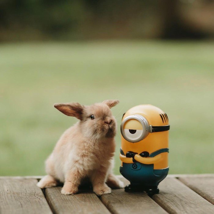 ��� ����, ����� ����� ������� ������ �� �����