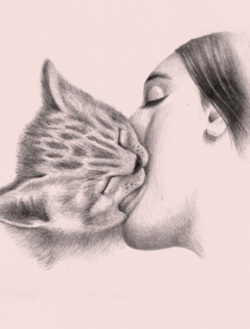 When your girlfriend loves her pet too much - Love, cat, Kiss