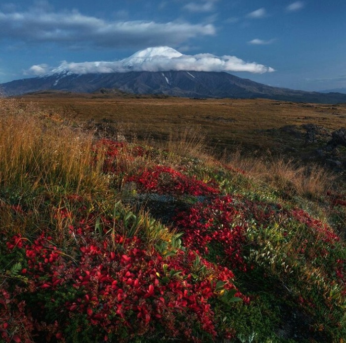 Это странное место Камчатка. Это сладкое слово Камчатка. - Природа, Фотография, Камчатка, Россия