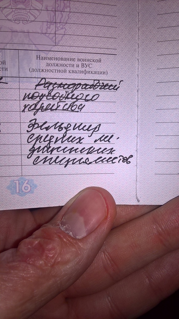 Солдат, какова твоя профессия?