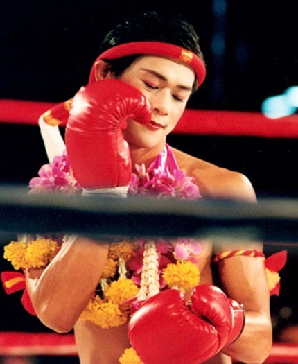 Lovely boxer - Thai boxing, Boxing, Thailand, Transgender, Longpost