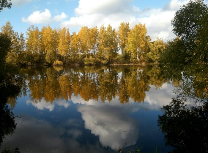 Reflection. - Reflection, Autumn, The photo