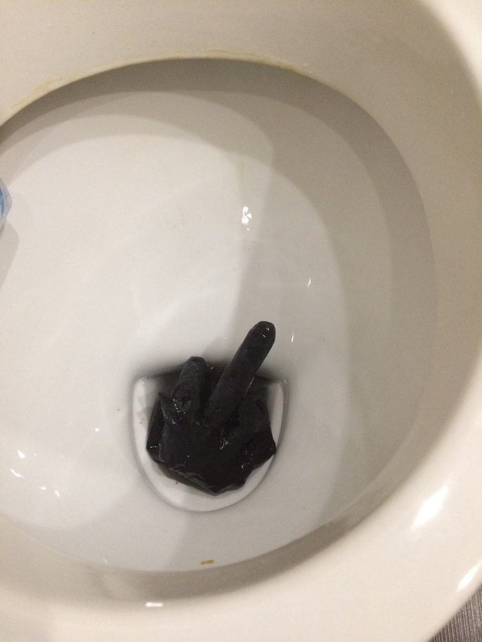 The glove that didn't want to sink - My, Gloves, Toilet, The photo