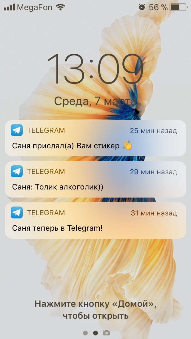    Telegram , 
