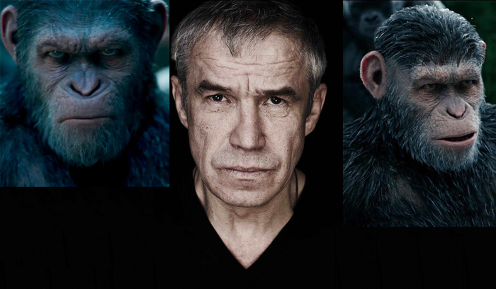 An unexpected similarity of Sergei Garmash ... - Lookalike, Sergey Garmash, Planet of the apes
