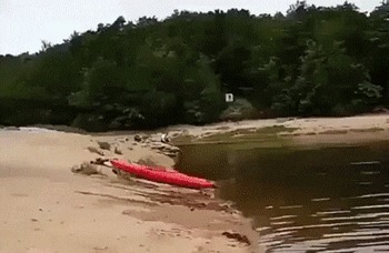   ,     ...