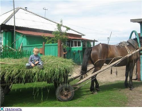 About dreams about the village and the features of life at a party. - My, Childhood, Village, Nature, beauty, Longpost