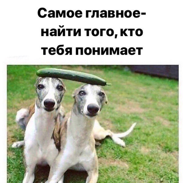 ����� �������...