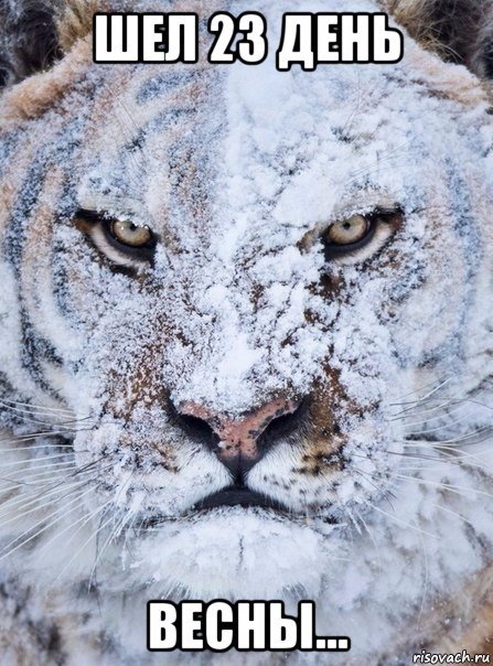 ����� �����������