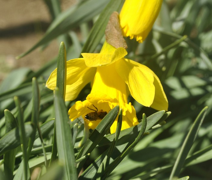 Проснулись | Пикабу