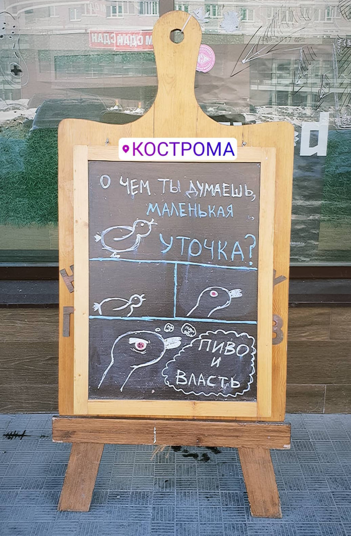 duck and power - Kostroma, Signboard, , , Taking over the world