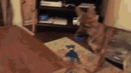   ,      ,    .