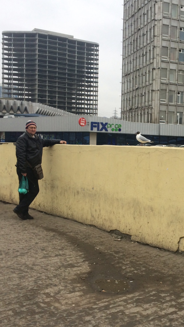 �������, ���������� �� ������