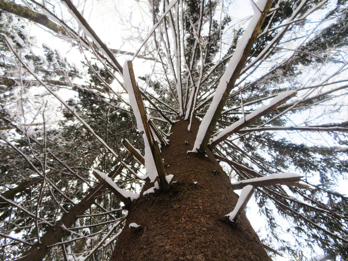 ��������� ������� ����