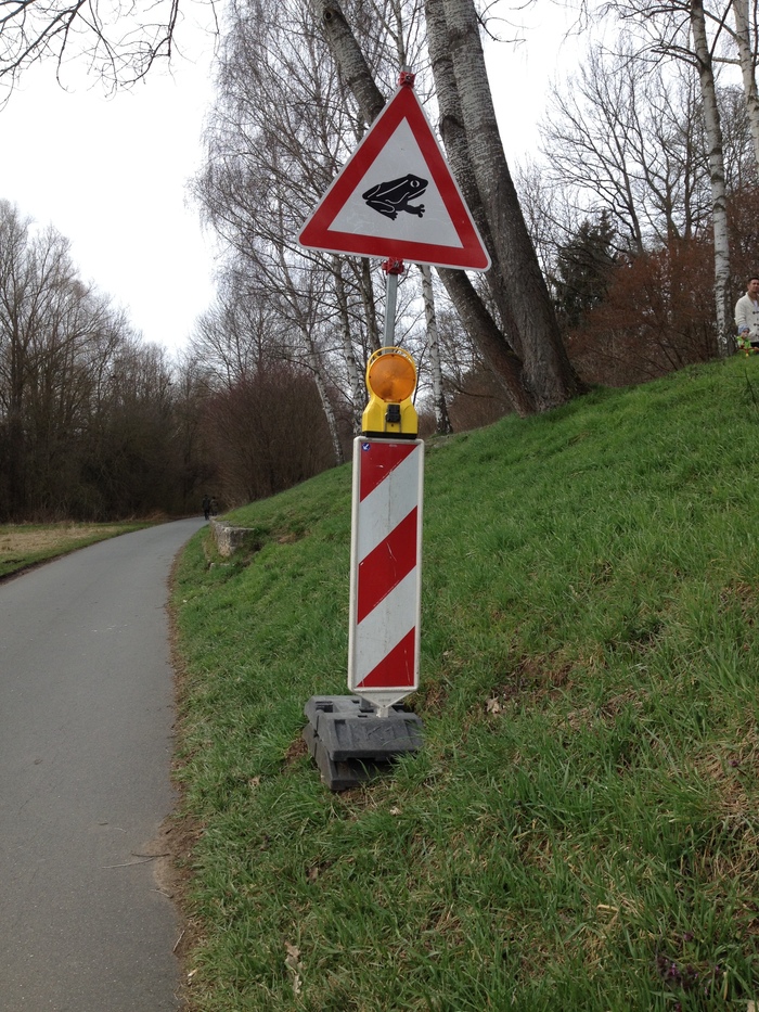 Beware the frogs! - My, Frogs, Road sign, Oddities