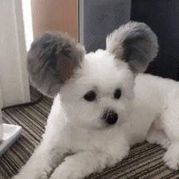    ?