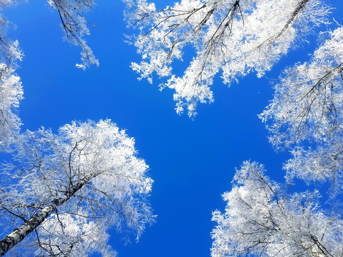 Just look up - My, Winter, Sky, The photo