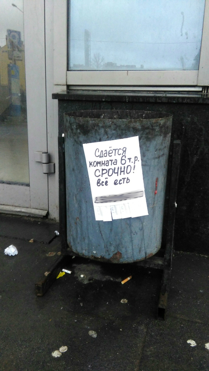 Hello, I'm on the ad in the trash... - My, Announcement, Bin, , Rental of property