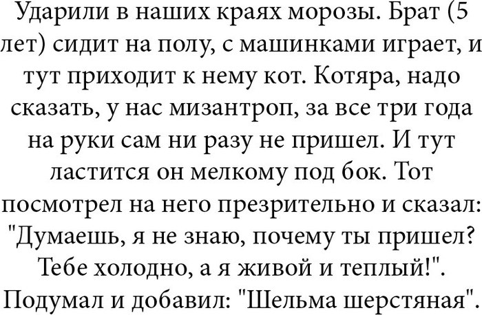 ������ ���������