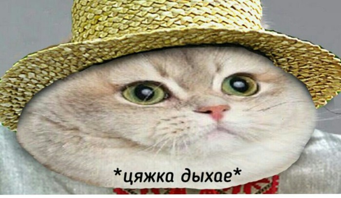 15228501231259889.jpg