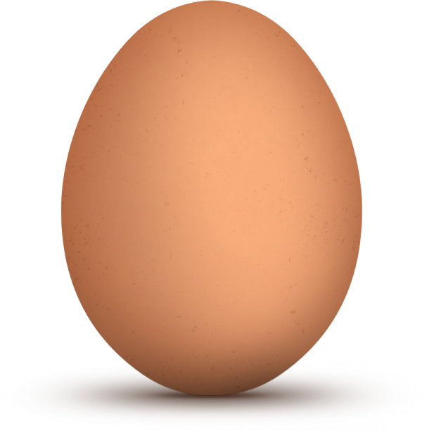 Egg - My, MTS, Services, Fraud