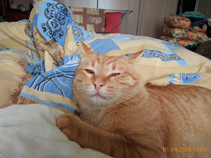 ������,����� �����.