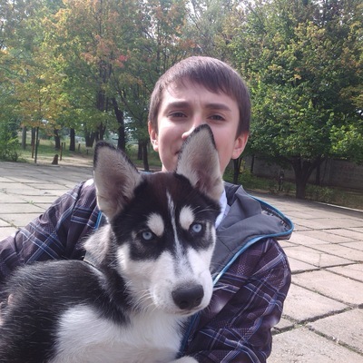 The photo of a Syrian teenager who traveled 500 km to Greece did not leave his beloved husky puppy quickly spread around the world. - Husky, People, Dog, Friend, Person, Longpost