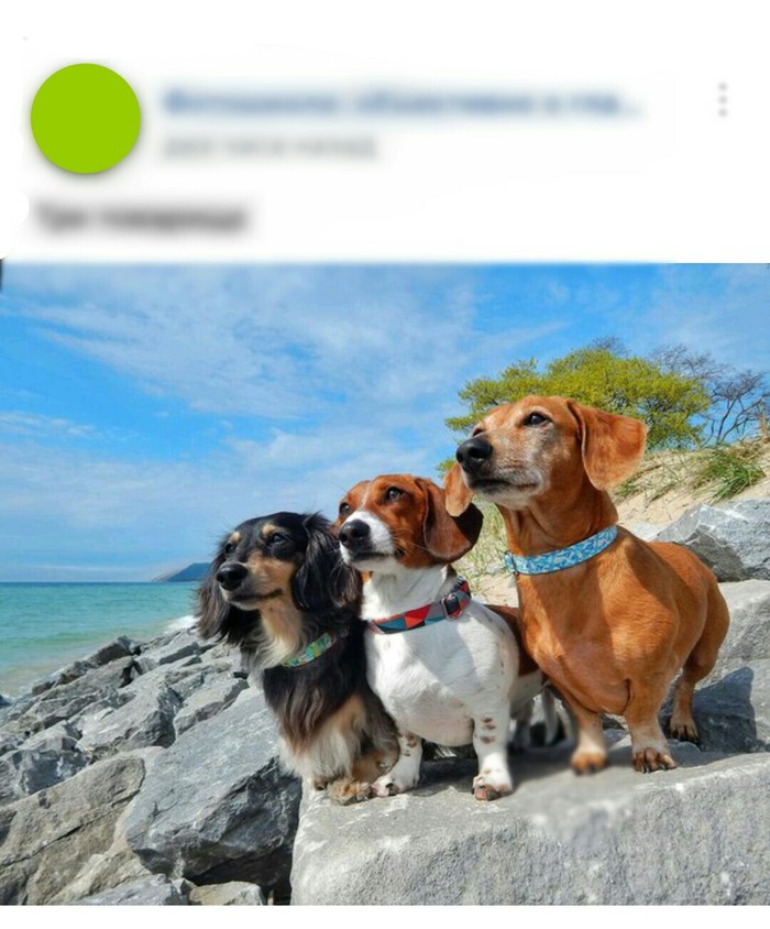     ,     "". ,  , , 