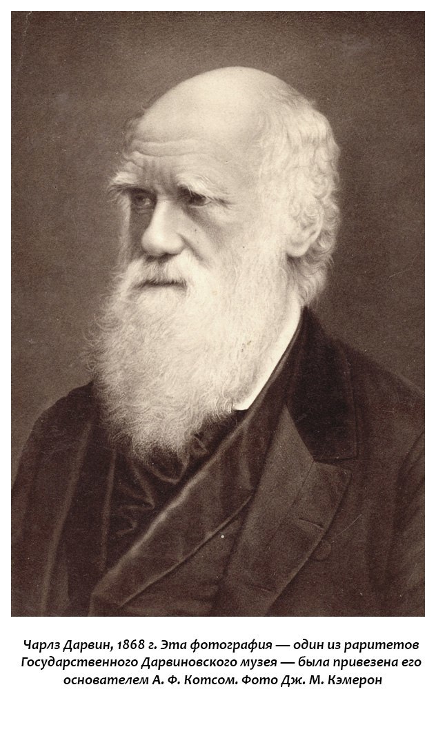 Charles Darwin and evolutionary theory. Part 4. Darwin's attitude towards Lamarck and genetics - Story, The science, Biology, Evolution, Charles Darwin, Natural selection, Genetics, Mendel, Longpost