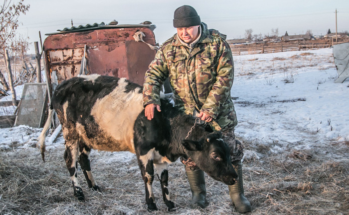 The prosecutor apologized to the Kurgan farmer for the case of the “calf with GPS” - Gps, GPS tracker, Farmer, Copy-paste, RBK, Accordion, Repeat