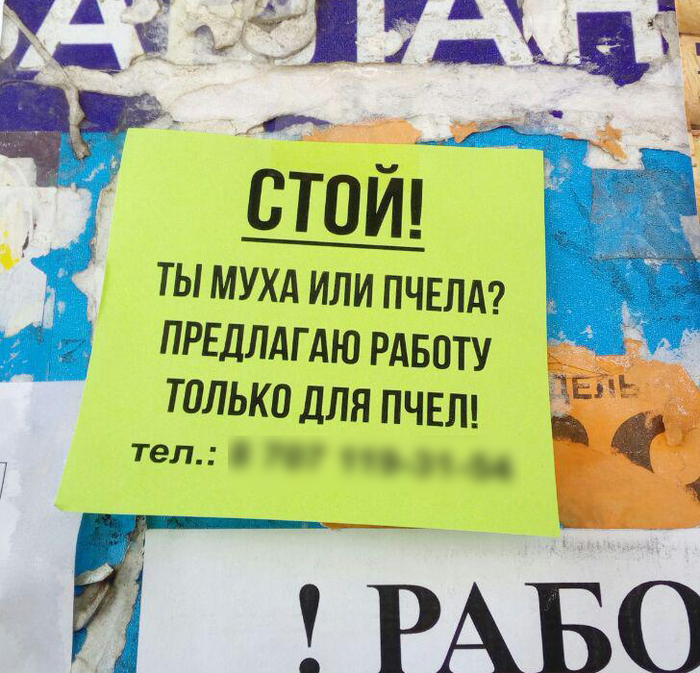 ���� ��� �����?