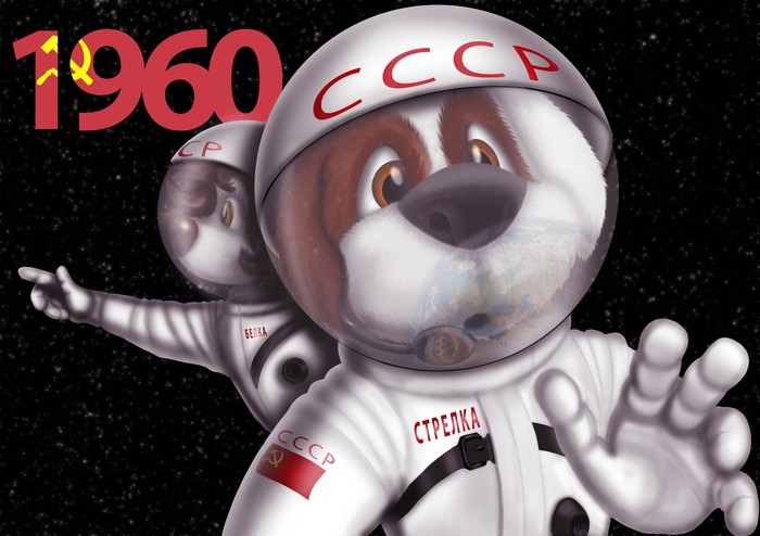 Happy Cosmonautics Day! - My, My, Drawing, Space, Squirrel, Arrow, Digital drawing, Illustrations, Flight