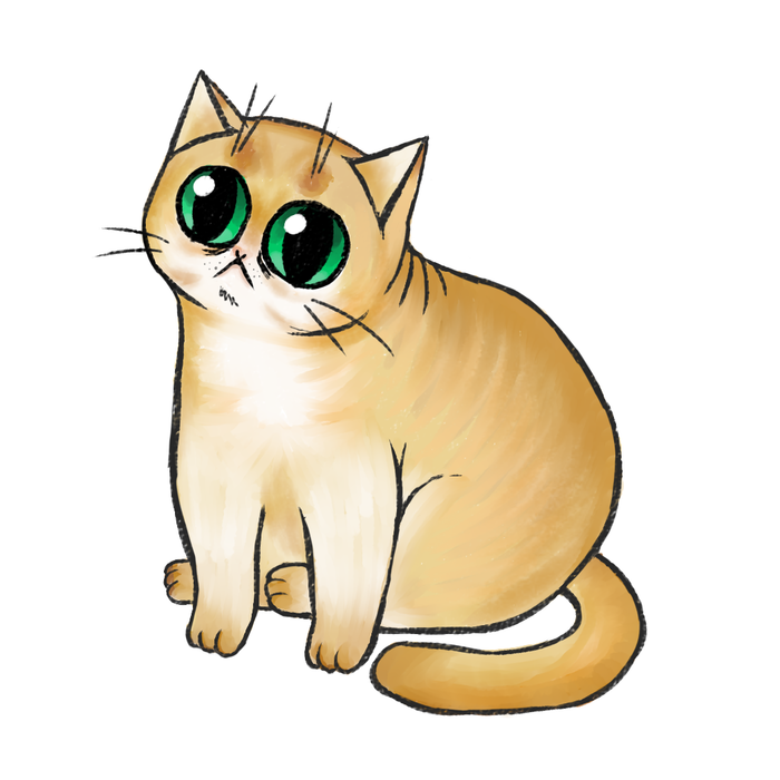 Котик