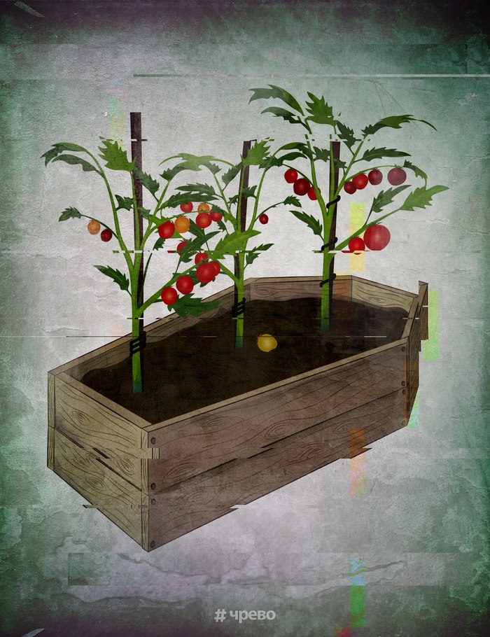 About tomatoes and coffins - Vegetables, Tomatoes, Plants, Coffin, Death, Surrealism, Modern Art, Art