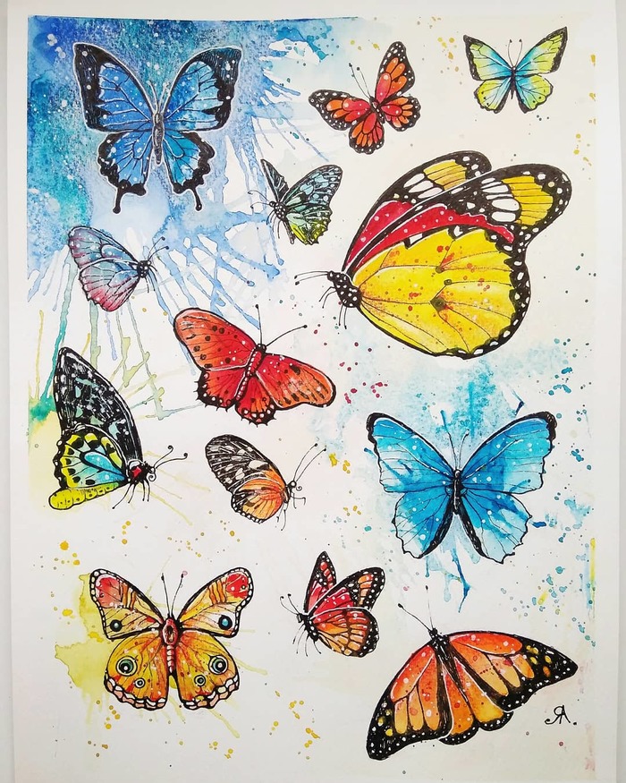 Breath of summer - My, Butterfly, Liner, Graphics, Drawing, Longpost, Watercolor, Insects