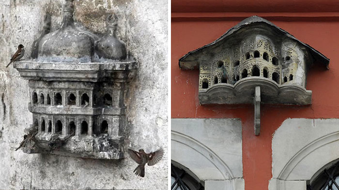 Luxurious bird palaces in Turkey - Turkey, Birds, , Longpost