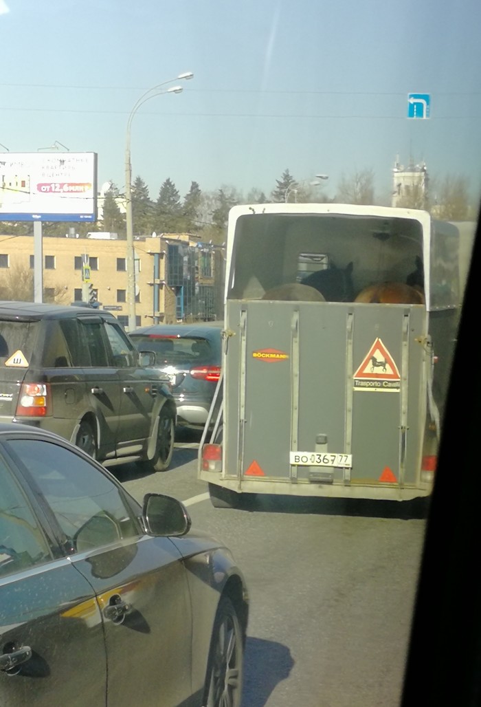 ������ � ������