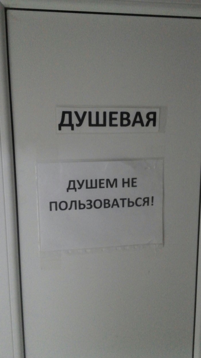 Для отчетности