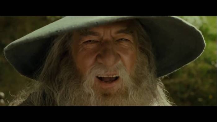 Ordinary fiction or why you should meet Gandalf - My, Gandalf, Lucid dreaming, Dream, Phase, Strange dreams, Harry Potter, Fifth Element, Start, Longpost