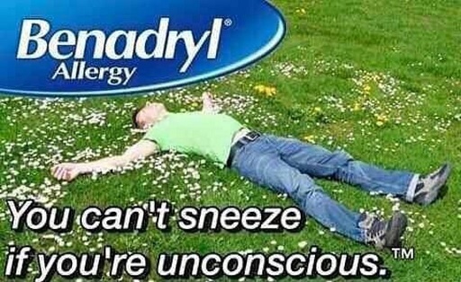 You can't sneeze if you're unconscious - Spring, Allergy, Advertising, Reddit