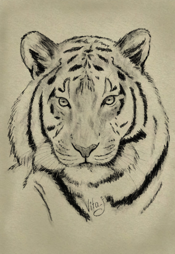 However, living creature #3 - Tiger and Bear - The Bears, Digital drawing, Tiger, Drawing, My, Photoshop, Animals, Longpost