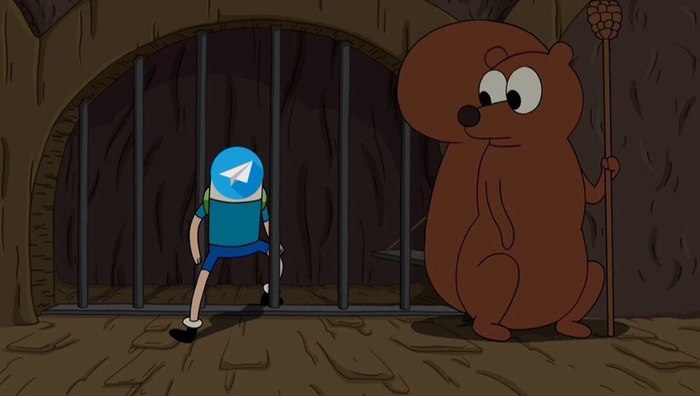 Я здесь главный