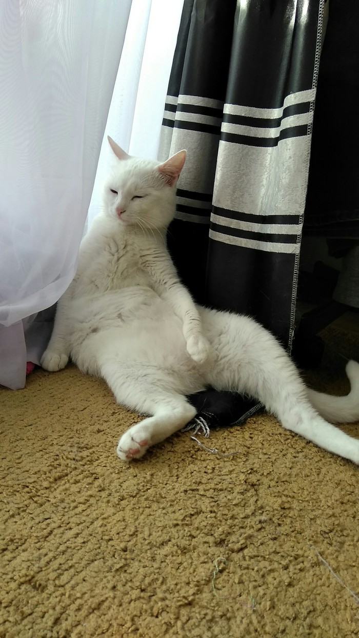 Царь отдыхает