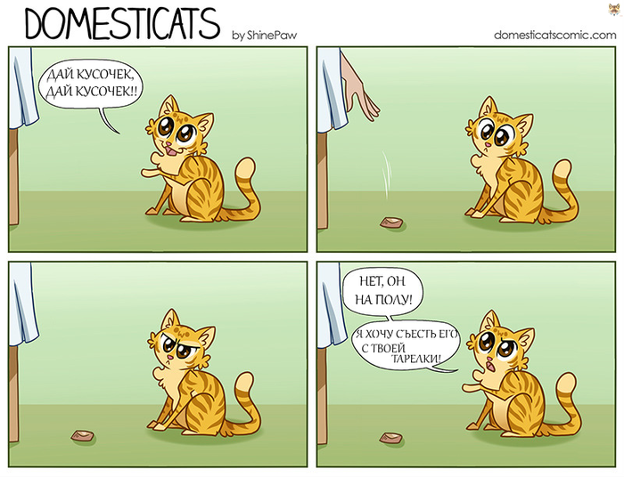 � ���� - �� ��