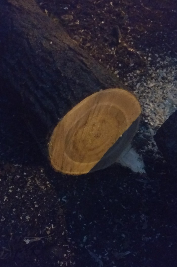 ��������� �������.