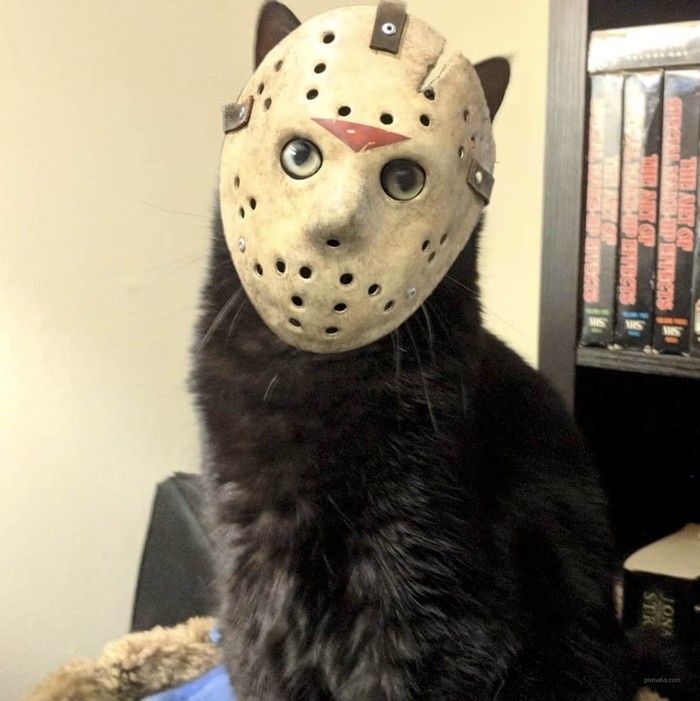 Mask - cat, Mask, Friday the 13th, Jason Voorhees