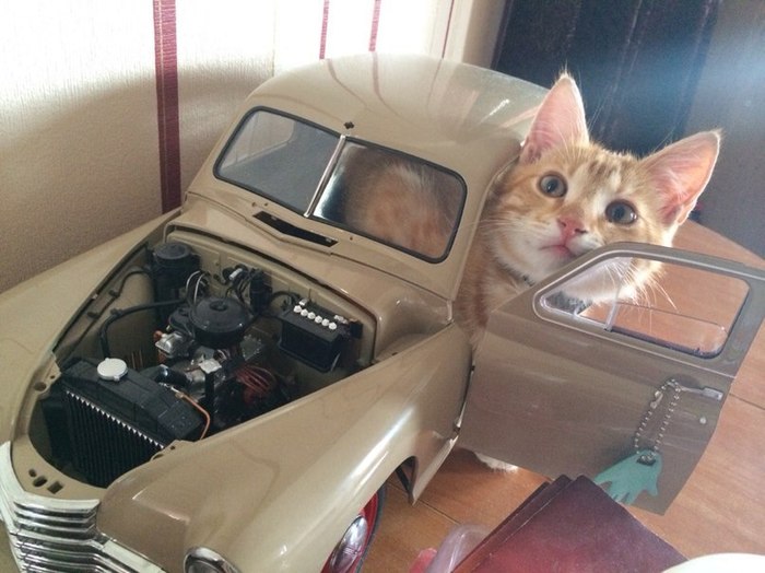 До кухни за сотку...