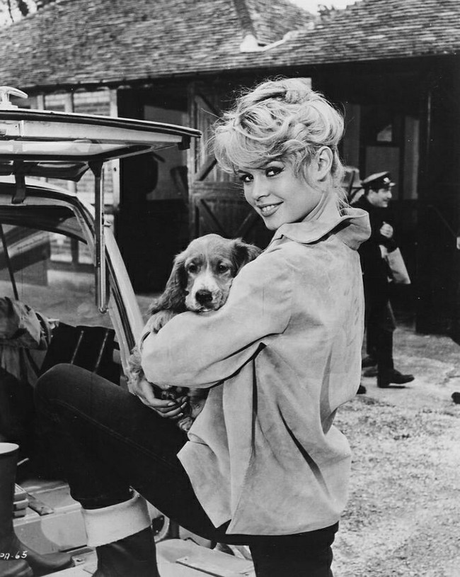 Better with a dog - , , Humor, Actors and actresses, Brigitte Bardot